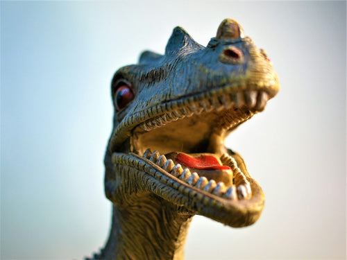 Dinosaur Power Electric Spray Toy Gun: What It Is and How It Works