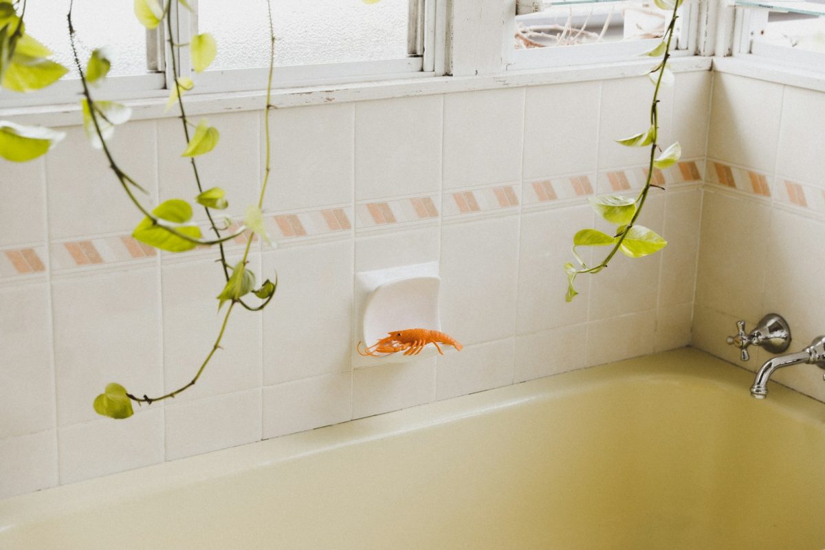 Bathroom Suction Strong: How to Maximize Suction Cup Power