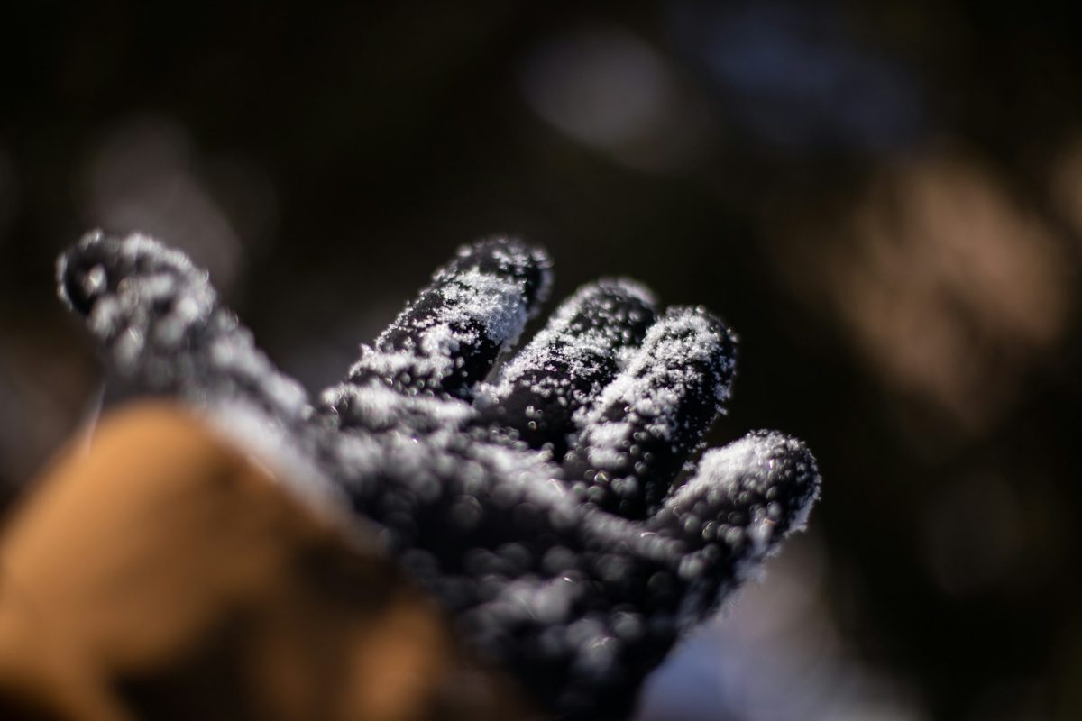 Hand Warmers: Your Guide to Staying Toasty