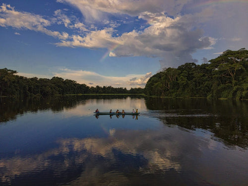 Travel to Amazon Rainforest: A Practical Step-by-Step Guide