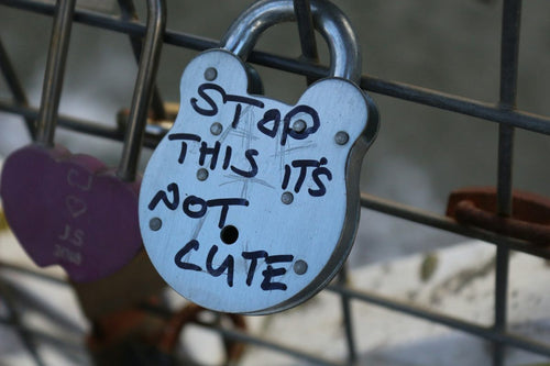 Cute But Useful Gadgets: Top Picks for 2024