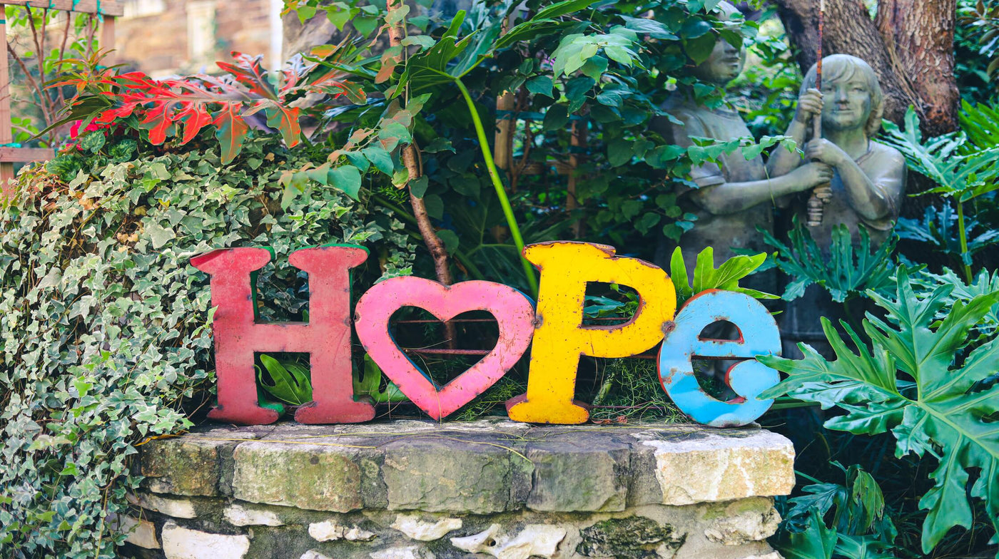 The Power of Positive Thinking: How to Train Your Brain for Happiness