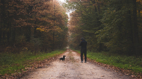 The Human-Animal Bond: Exploring the Psychological and Physical Health Benefits of Pet Ownership
