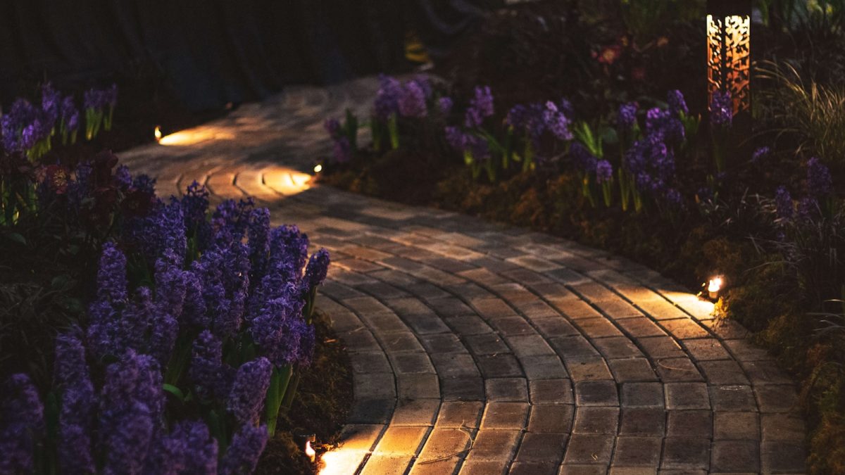 Garden Solar Lights: A Practical Guide to Choosing the Right Ones