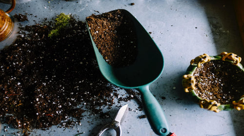 Impress Your Neighbors: Must-Have Gardening Tools