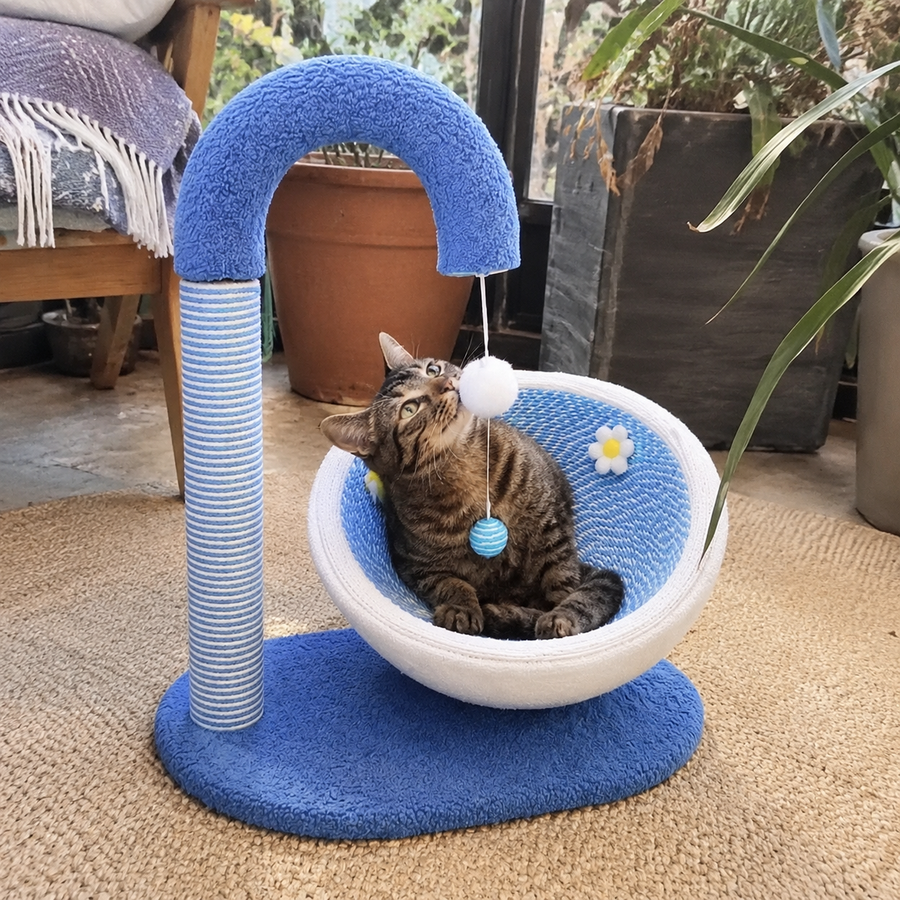 Curve Ball Sisal Scratching Climbing Cat Playground Bed