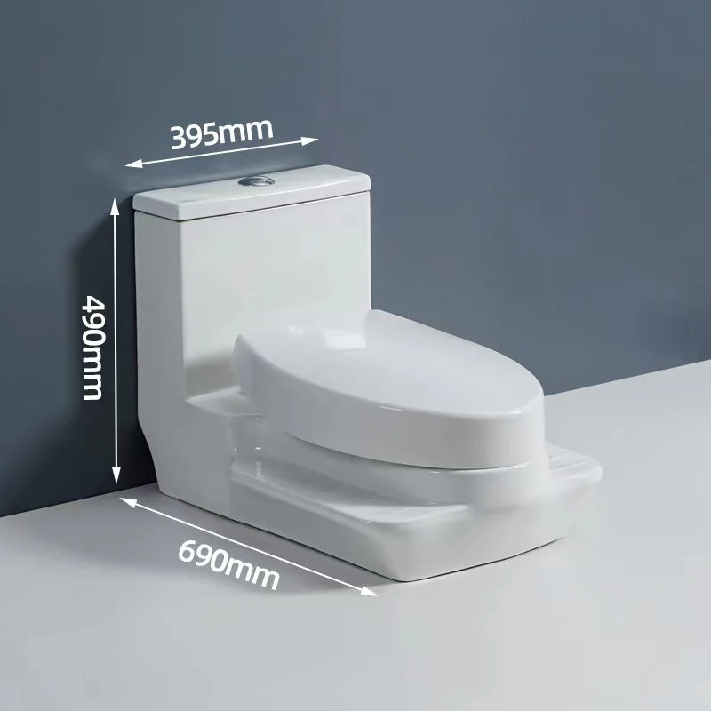 Dual Design Squat-toto-Sit Convertible Toilet