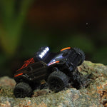 Auto Adventurer Mini RC Racing Monster Truck