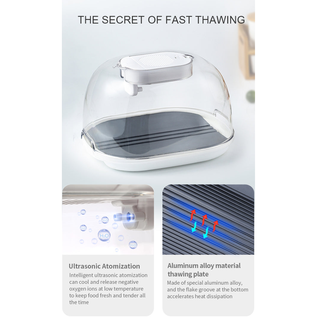 Smart Quick Defrosting Box Machine