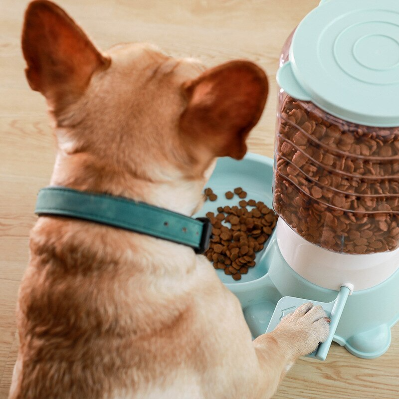 Interactive Push Type Pet Feeder