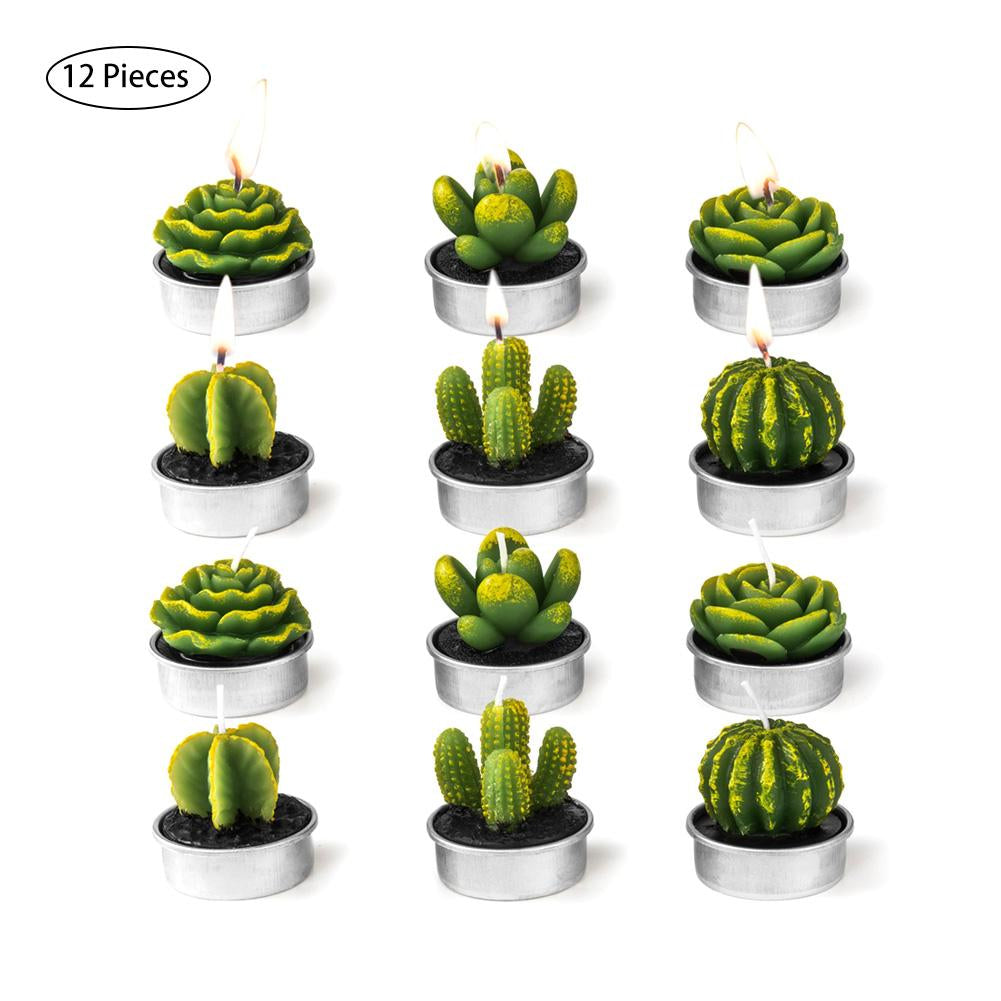 12Pcs Cactus Aroma Candle