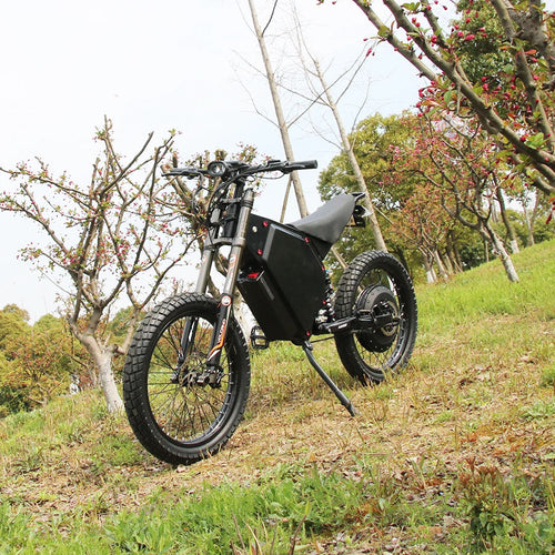 Powerful Mountain Beast Off-Road Adventure Electric Bike - Image 0