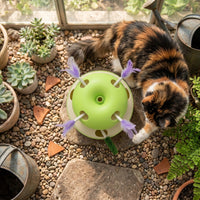 Interactive Apple Style Automatic Cat Teaser Toy - Image 2