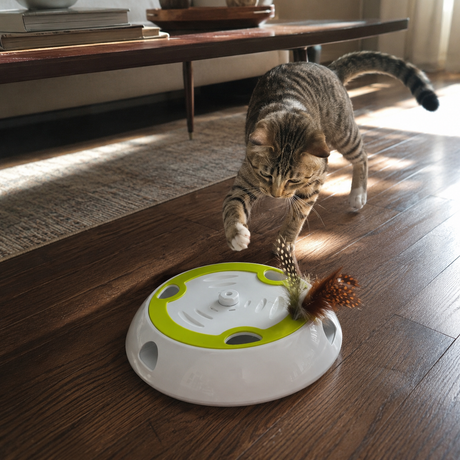 Sneak Attack Smart Pop-Up Interactive Cat Teaser Toy