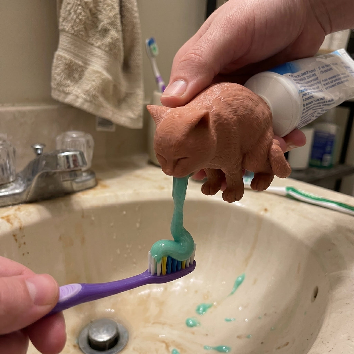 Hangover Cat Toothpaste Dispenser - Image 3