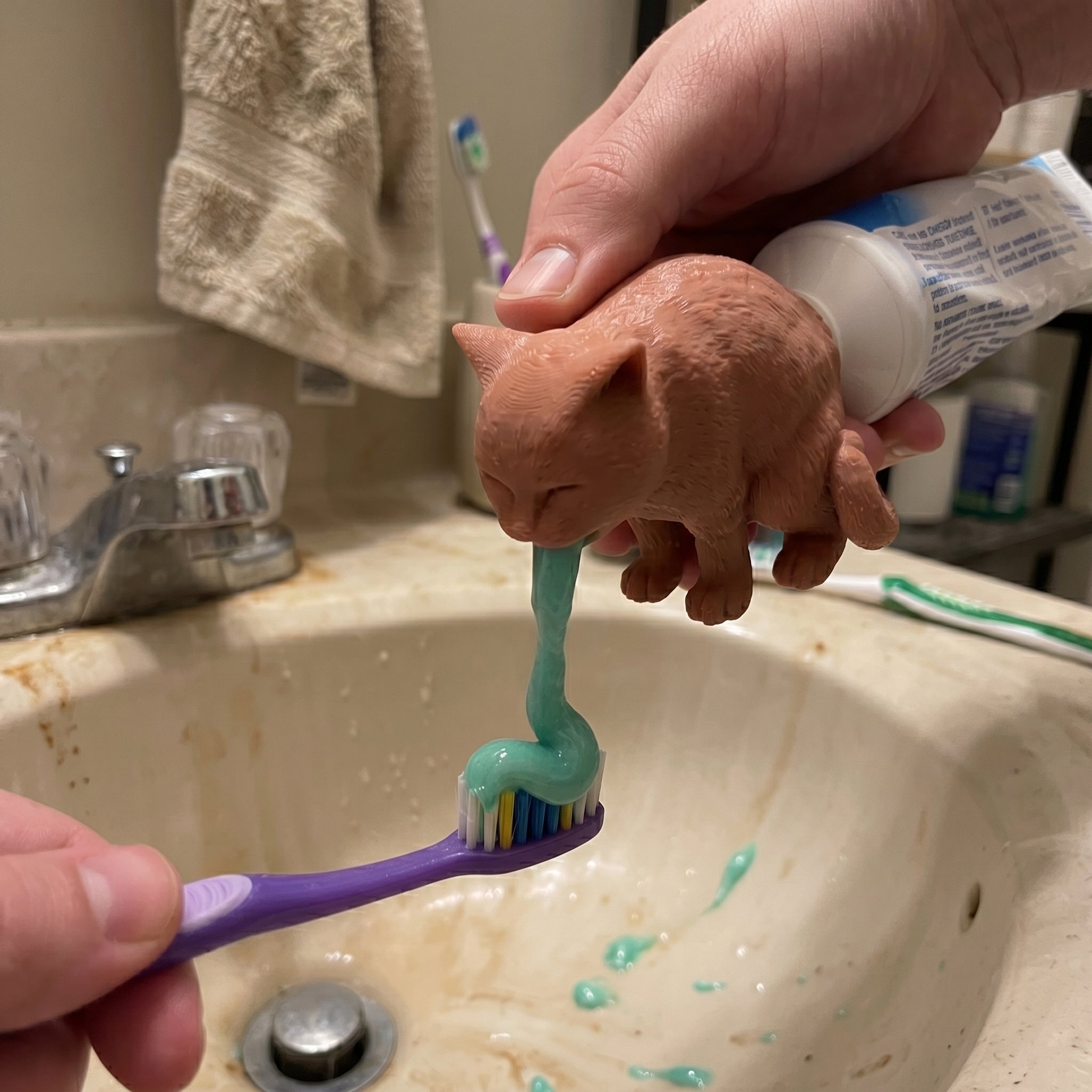 Hangover Cat Toothpaste Dispenser - Image 3