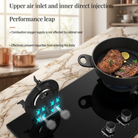 Liftable Double Gas Stove - Image 4
