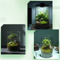 Mini Forest Maker Terrarium Decor Vase - Image 6