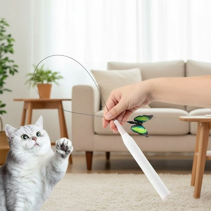 Interactive Rotating Cat Activity Butterfly Toy - Image 1