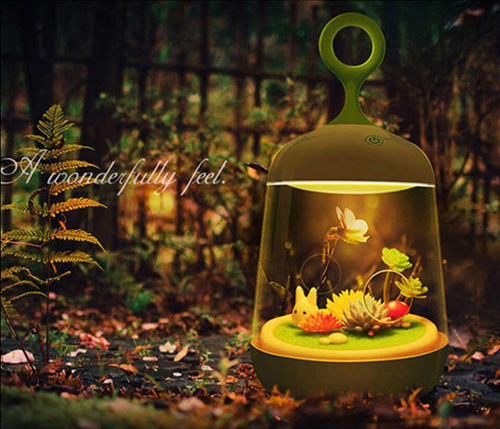 Novelty USB Charging LED Colorful Micro-landscape Plant Light - Image 0