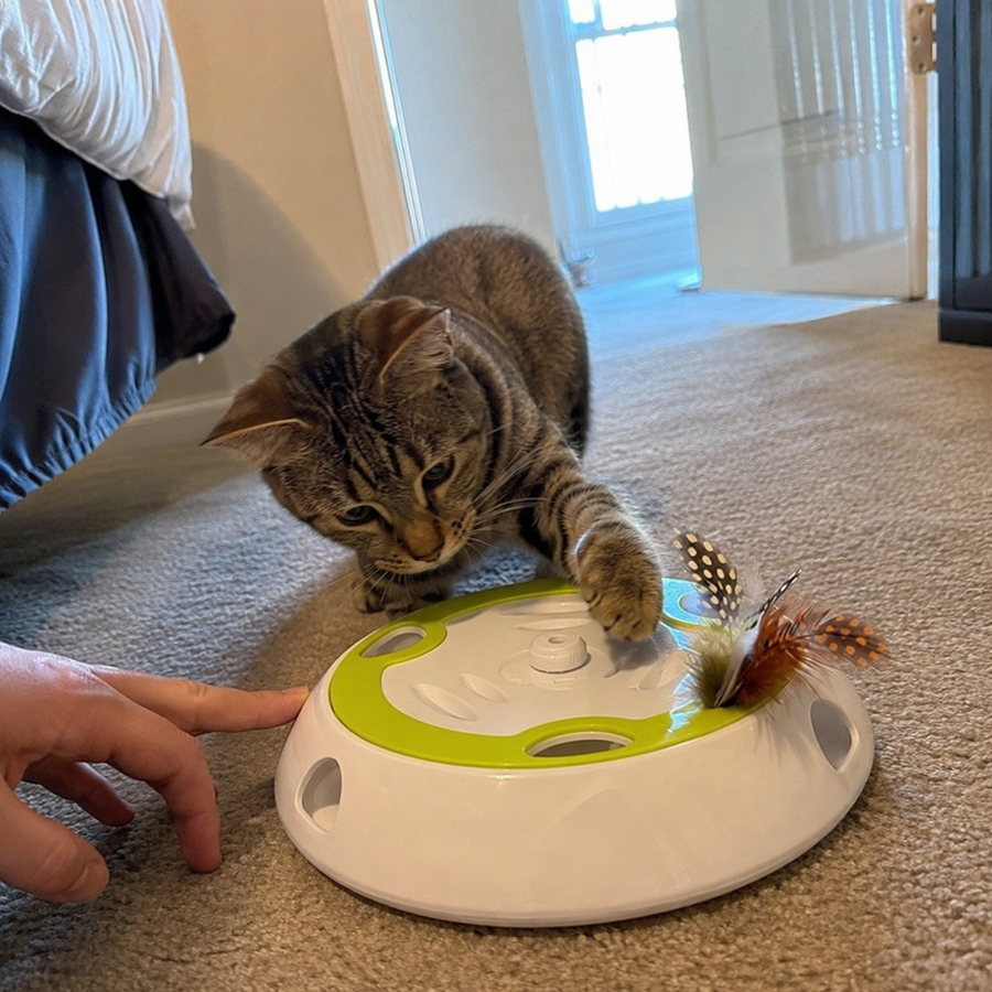 Sneak Attack Smart Pop-Up Interactive Cat Teaser Toy