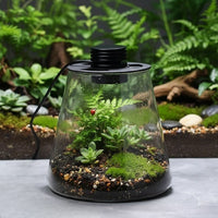 Mini Forest Maker Terrarium Decor Vase - Image 3