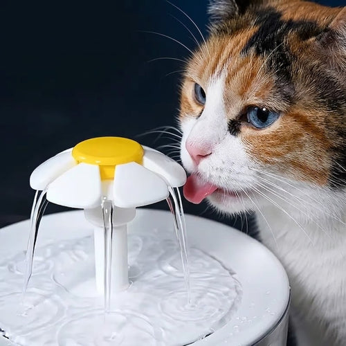 Picky Drinker Cat Water Dispenser