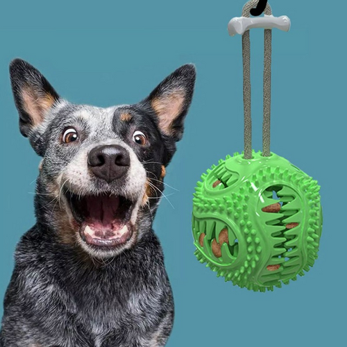 Dog Interactive Tooth Cleaning Toy Balls - Image 0