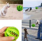 Dog Interactive Tooth Cleaning Toy Balls