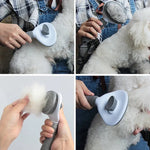 Pet Cat Hair Removal Brush