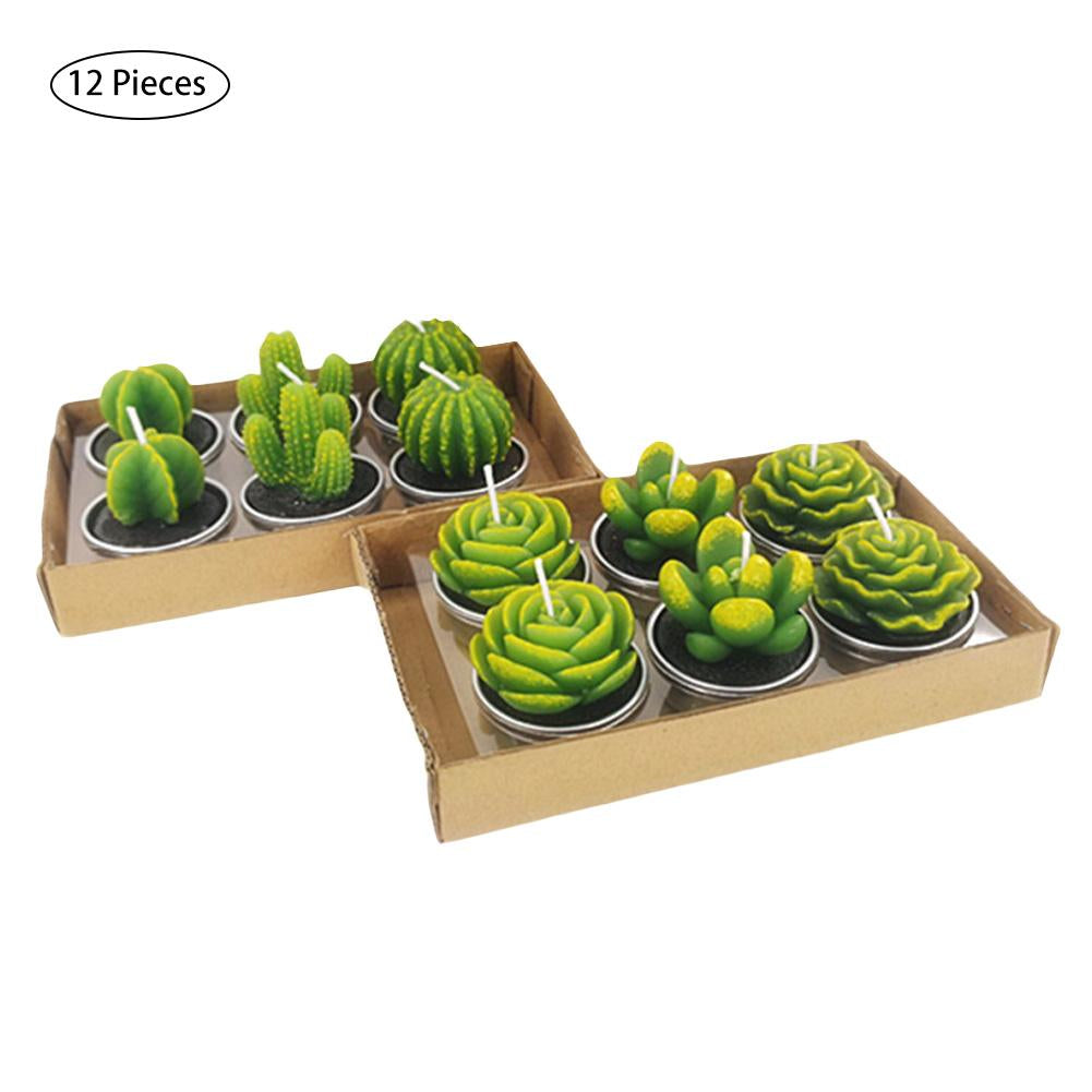 12Pcs Cactus Aroma Candle