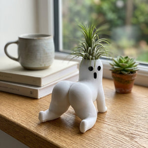 Teasing Ghost Plant Mini Vase - Image 0
