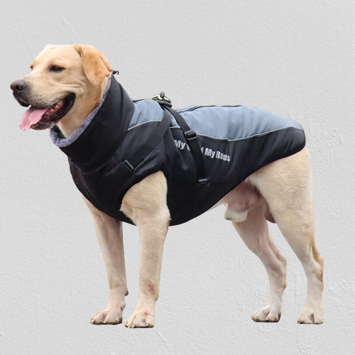 Waterproof Winter Dog Jackets