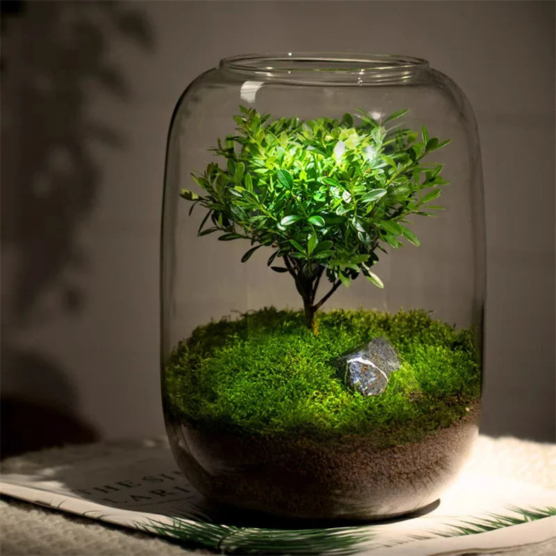 Micro Landscape Green Oasis Glass Vase