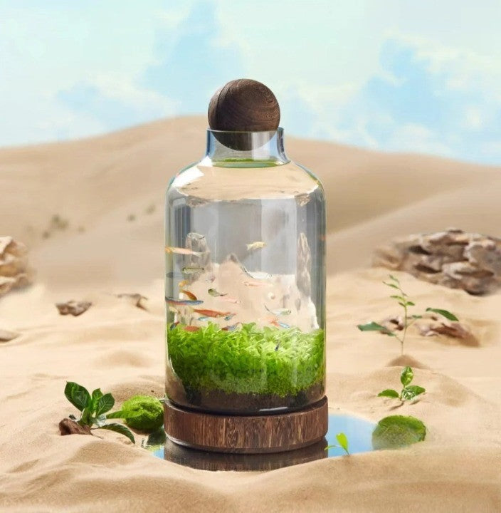 Micro Aquarium Compact Glass Ecological Fish Tank - Image 6
