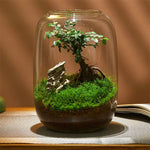 Micro Landscape Green Oasis Glass Vase