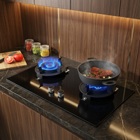 Liftable Double Gas Stove - Image 0