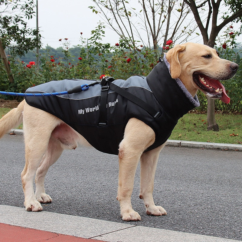 Waterproof Winter Dog Jackets - Image 2