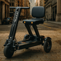 Tri-Wheel Foldable Padded Seat Electric Mobility Scooter - Image 1