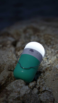 ION Light