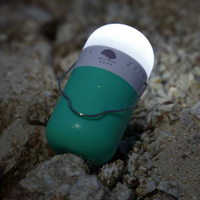 ION Light