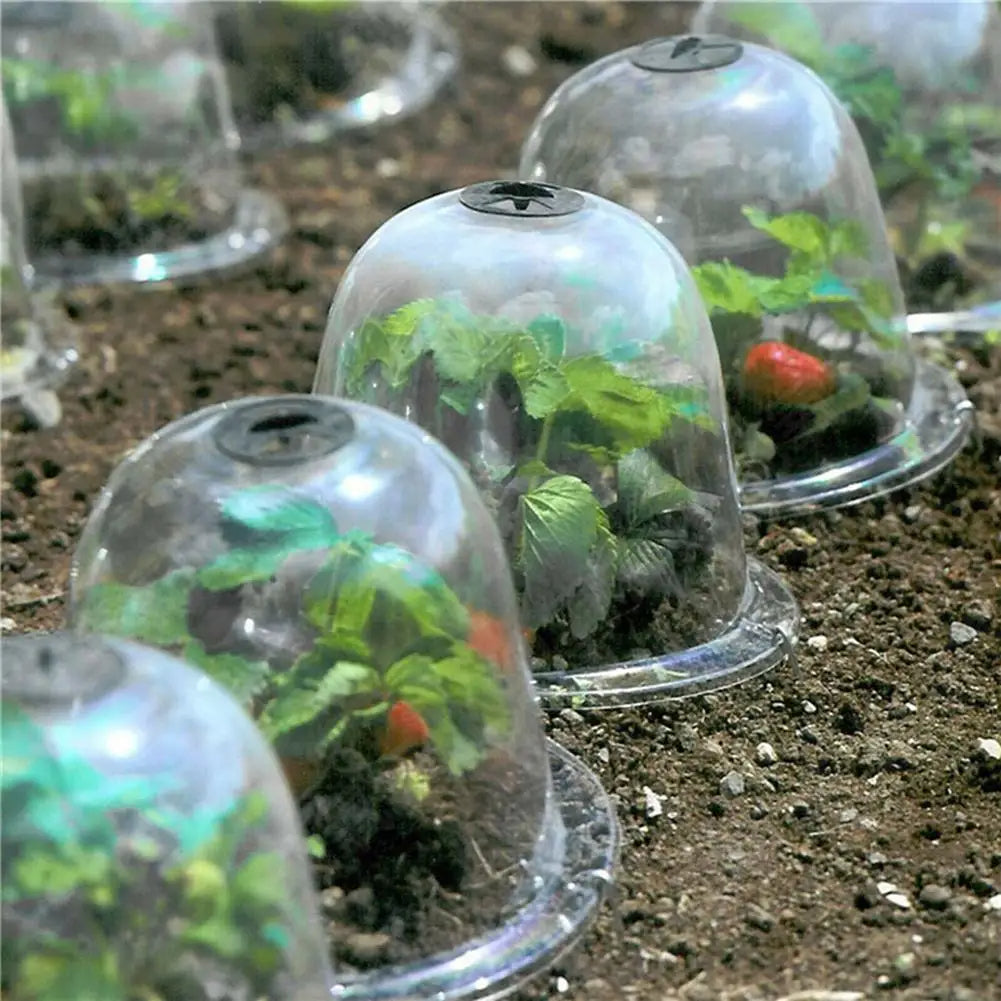 clear plastic plant protectors Frost Protection Clear Garden Plant Cover · Mavigadget