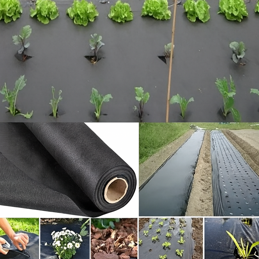 Garden Ground Cover Long-Lasting Anti-grass Fabric - Image 6