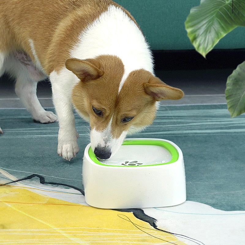 No-Spill Pet Water Dispenser Bowl