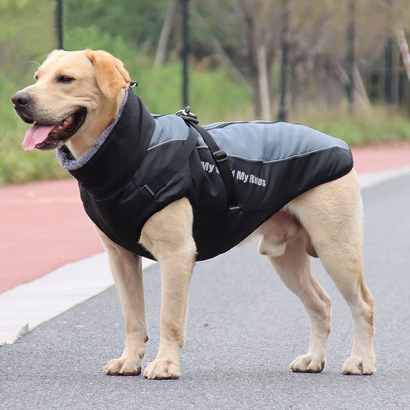 Waterproof Winter Dog Jackets - Image 3