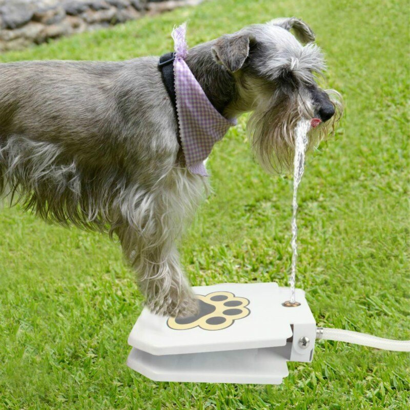 Doggie Water Fountain