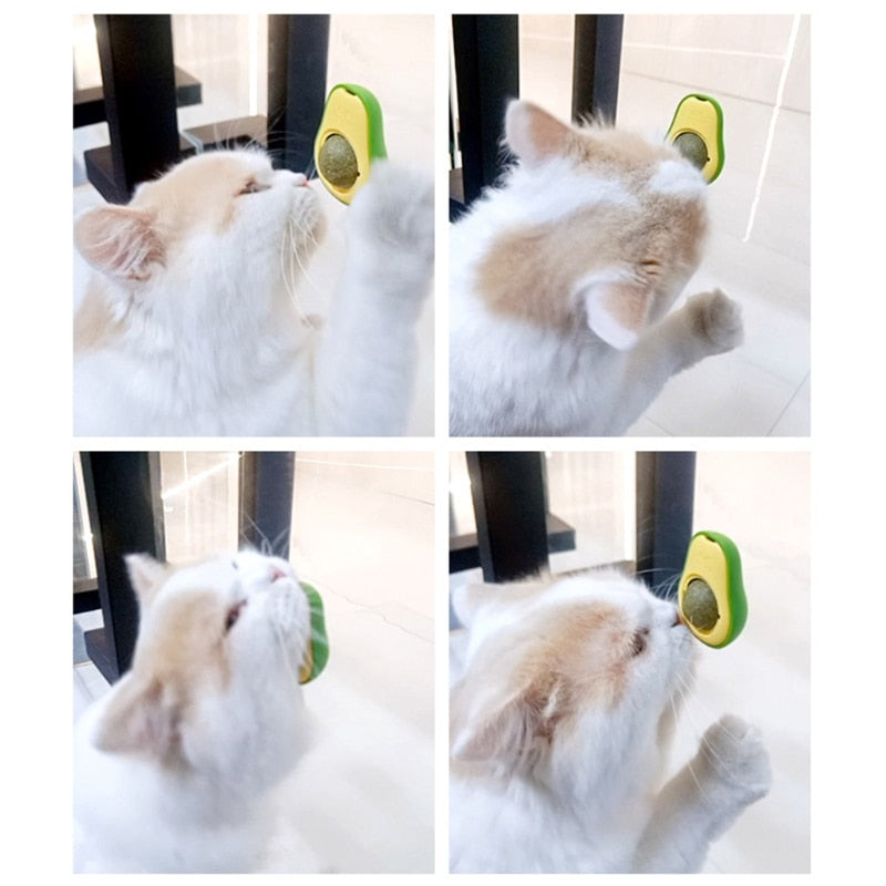 Wall-Mounted  Cat Avocado Toy Ball - Image 4