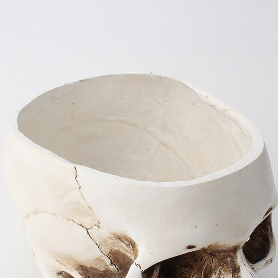 Impressive Realistic Skull Flower Vase - Image 12