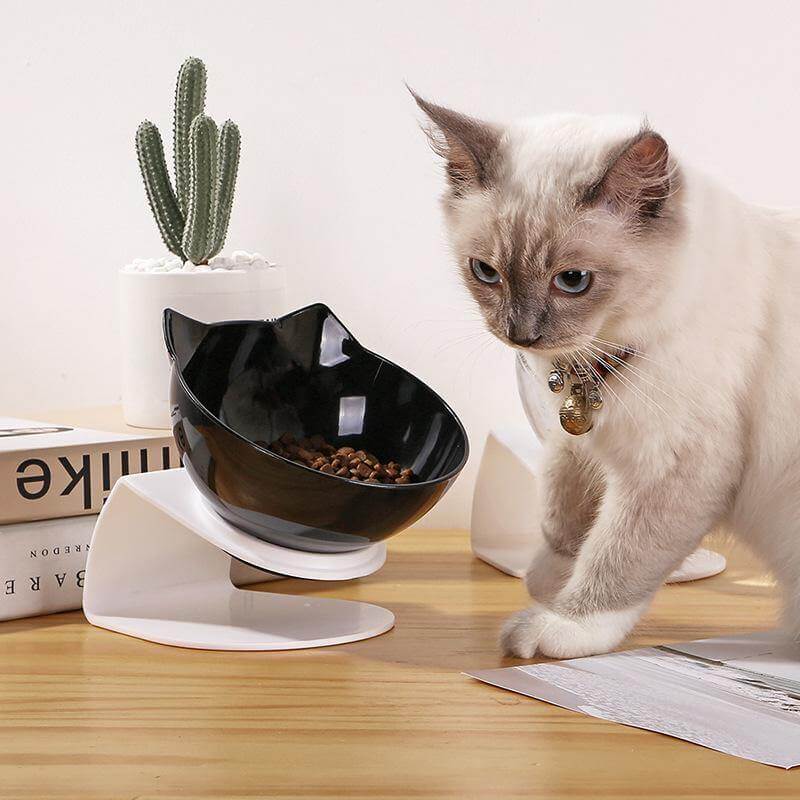 Non-Slip Pet Easy Feeder Bowl