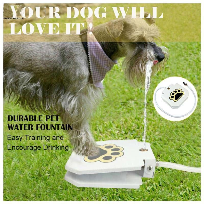 Doggie Water Fountain - Image 2